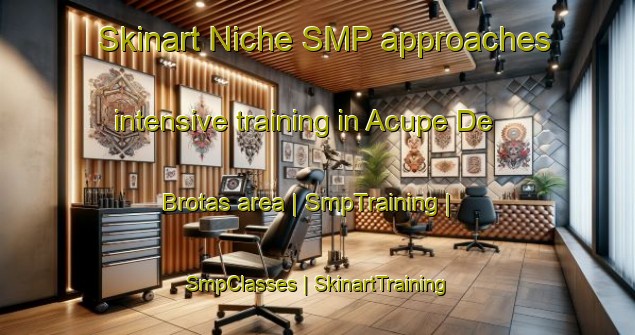 Skinart Niche SMP approaches intensive training in Acupe De Brotas area | SmpTraining | SmpClasses | SkinartTraining-Brazil